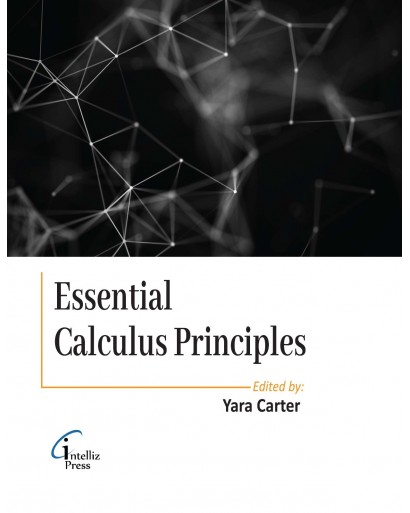 Essential Calculus Principles